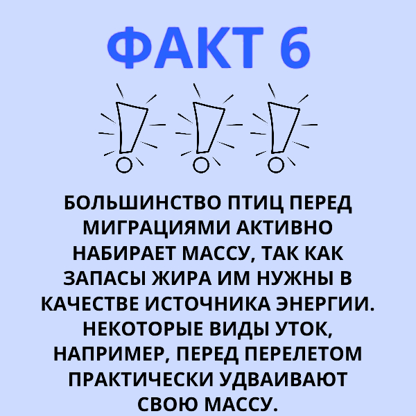 7 1715565570159 (1).jpg
